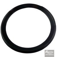 Picture: RegulusFLEX Sealing Ring, 60 mm diam.