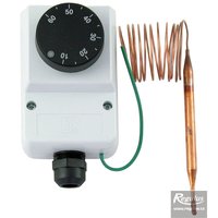 Picture: Encased adjustable capillary thermostat, 0-60°C, 1.5 m capillary, IP40