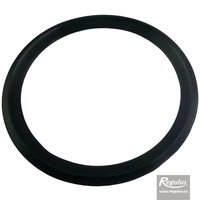 Picture: RegulusFLEX Sealing Ring, 80 mm diam.