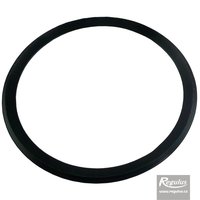 Picture: Garnitură O-ring 100 mm pentru RegulusFLEX