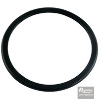 Picture: RegulusFLEX Sealing Ring, 125 mm diam.