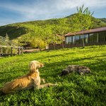 Eco Resort Kara Bulak